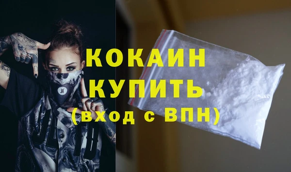 гашик Тавда