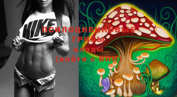 MDMA Сясьстрой